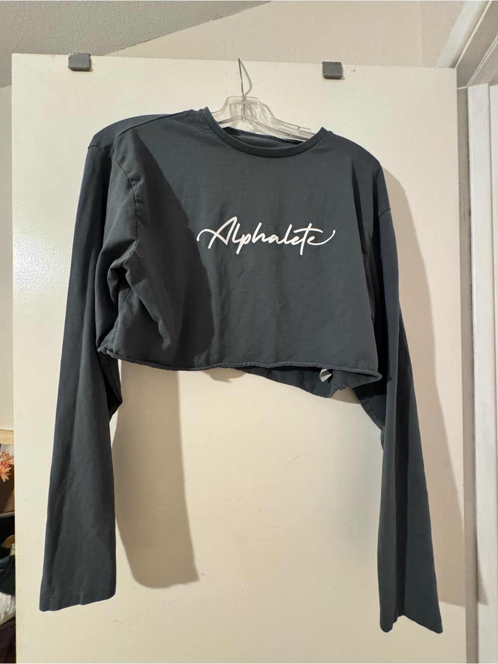 Alphalete Cropped Long Sleeve Top in Charcoal with White Script Logo